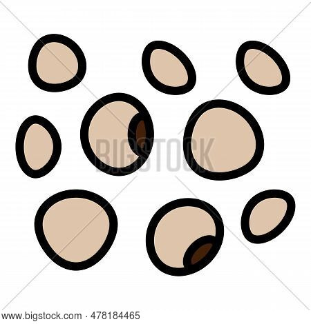 Lentil Product Icon. Outline Lentil Product Vector Icon For Web Design Isolated On White Background 