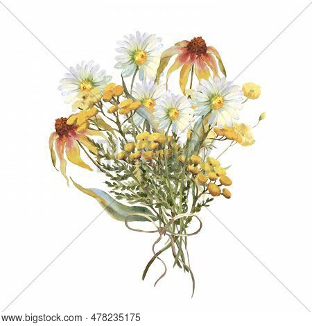 Watercolor Bouquet Of Yellow Echinacea Flowers, Chamomile, Tansy And Field Herbs. Template For Invit