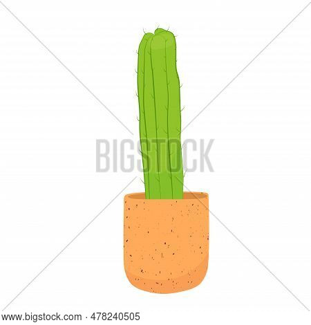 Prickly Cactus In A Ceramic Pot. A Desert Flower. A Houseplant. Vector Stock Illustration. Isolated 