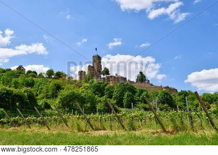Spur Castle Ruin Called Wachtenburg With Vineyard In Wachenheim City In  Rhineland-palatinate