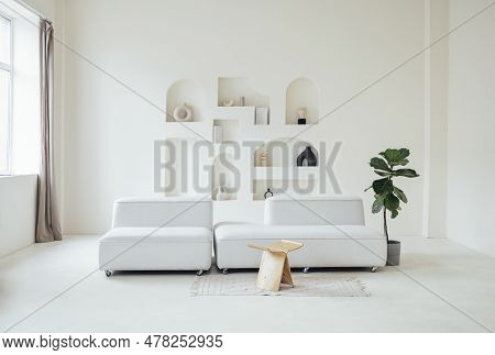 A Lyre-shaped Ficus In A Pot Near The White Sofa In The Living Room. A Home Plant In A Stylish Brigh