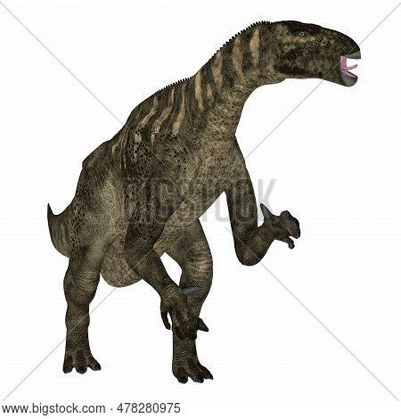 Iguanodon Cretaceous Dinosaur 3d Illustration - Iguanodon Was A Herbivorous Ornithopod Dinosaur That