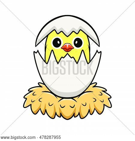 Vector Illustration Of Cute Parblue Opaline Lovebird Cartoon Inside From Egg