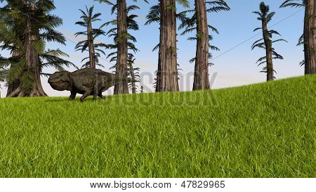 marche unadoceraptor