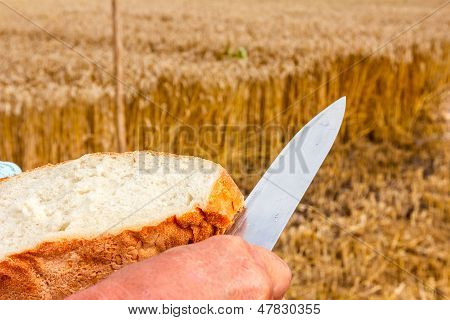 Tempo per il pane