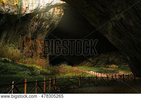 The Landscape Inside The Cave. An Ecosystem With A River And Trees Inside A Rock