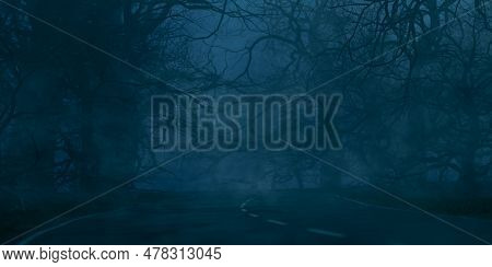 Mysterious Dark Forest. Dark And Moody Forest Road Covered In Mist. Halloween Night Background. Horr