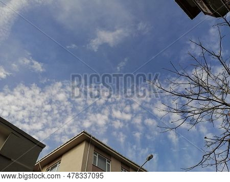 A Sunless But Cloudy And Tree-lined Sky Photo.