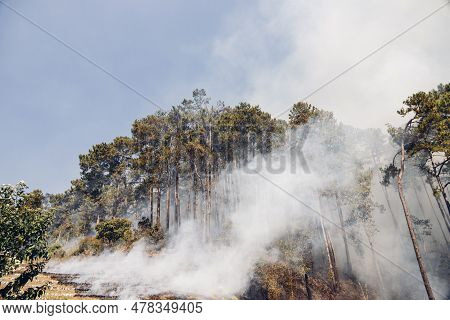 Forest Fire At Mountain. Smoke From A Fire. Countryside Forest With Fire Smoke From Wildfire. Wildfi