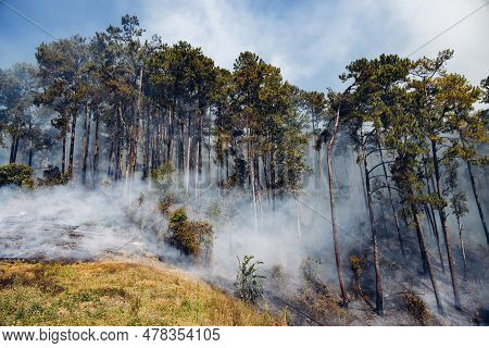 Forest Fire At Mountain. Smoke From A Fire. Countryside Forest With Fire Smoke From Wildfire. Wildfi