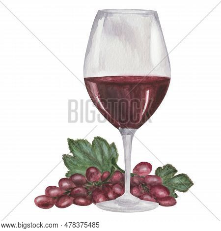 Watercolor Illustration Of Hand Painted Glass On Long Stalk With Maroon Wine And Grapes. Isolated Cl