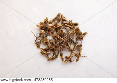 Dried Fruits Of Sophora Japonica, Top View. Medicinal Plant Fruits And Seeds Are Used In Alternative