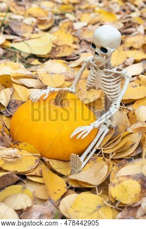 A Skeleton Holding A Pumpkin, A Squash, A Pattison For Halloween On A Background Of Yellow Fallen Au