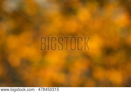 Fall Blurred Background. Out Of Focus Natural Bokeh Backdrop. Autumn Nature Leaves Blur Background. 