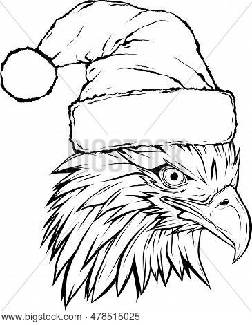 Eagle Head Outline Vector &amp; Photo (Free Trial) | Bigstock