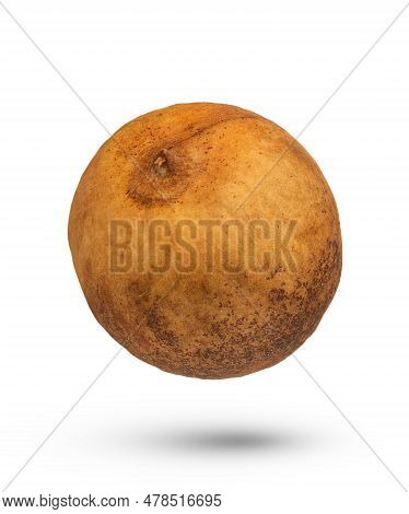 Avocado Pit On A White Isolated Background. A Fresh Avocado Pit Casts A Shadow. Avocado Seed Isolate