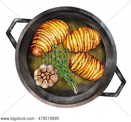 Baked Hasselback Potatoes Garlic And Thyme In A Frying Pan. Swedish Baked Potatoes. Hand-drawn Water