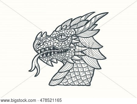 Hand Drawn Dragon Head Vector