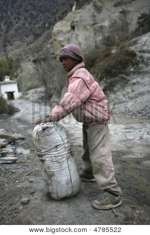 Nepali Zicklein