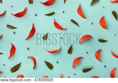 Floral Pattern Of Red Petals Of Lilies And Green Leaves. Flower Background On A Light Cerulean Paper