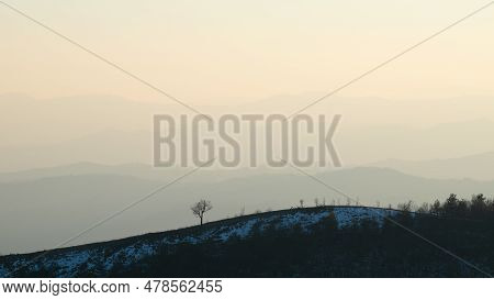 Lonely Tree On Hill Against Mountain Layers Fading In Haze, View From Mountain Ljubic Near Prnjavor