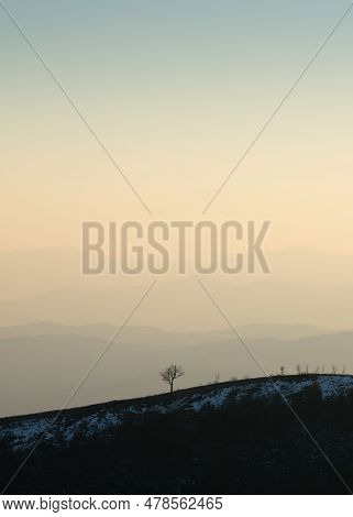 Lonely Tree On Hill Against Mountain Layers Fading In Haze, View From Mountain Ljubic Near Prnjavor