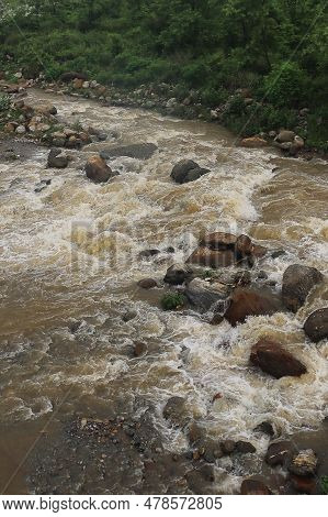 Beautiful River Valley, Flowing Stream, Forest And Himalaya Foothills Of Terai - Dooars Region. Bird