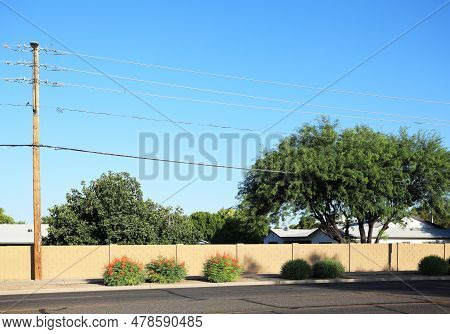 Arizona Simple Roadside Xeriscaping With Red Bird Of Paradise And Drought Tolerant Shrubs And Trees 