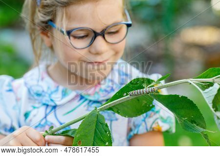 Little Preschool Girl Watches Caterpillar Climb On Plant. Happy Excited Child Watching And Learning 