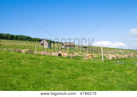 Ferme.