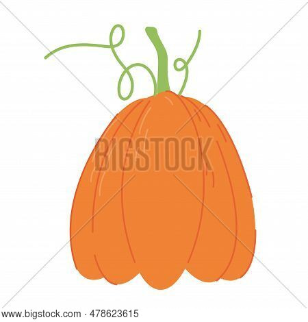 Orange Pumpkin Vector Illustration. Autumn Halloween Or Thanksgiving Pumpkin Symbol. Flat Design. Or