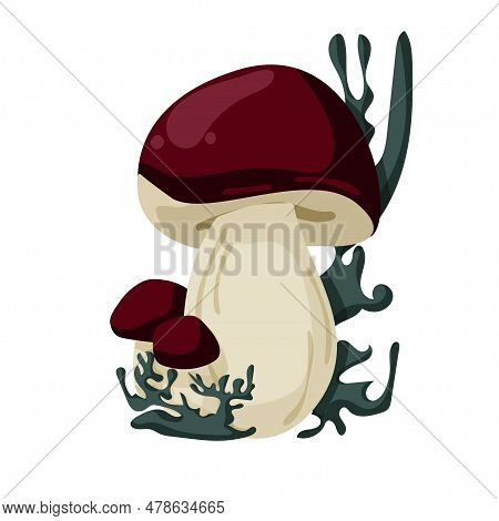 Porcini Mushroom In The Grass. Vector Illustration Isolated On A White Background.