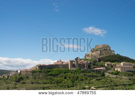 Morella