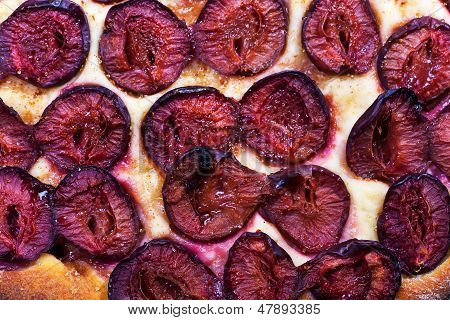 plumcake