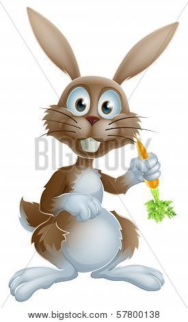 Rabbit With Carrot