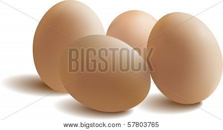 Egg