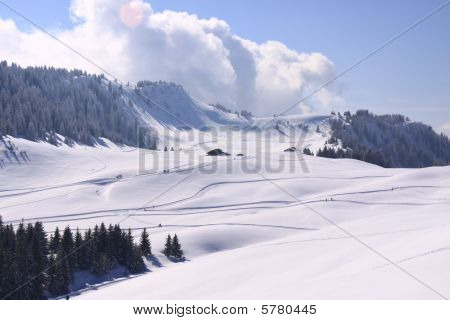 Ski Slopes