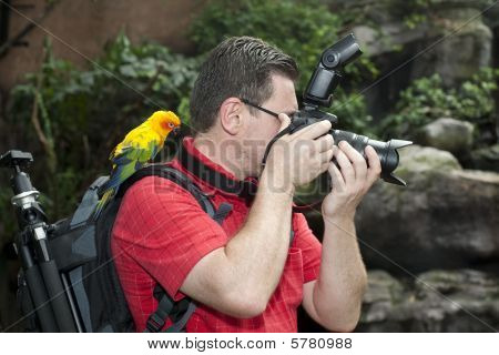 Fotograf med fugl på skulderen