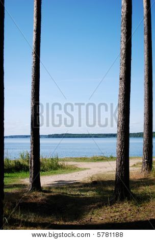 Zomer landschap