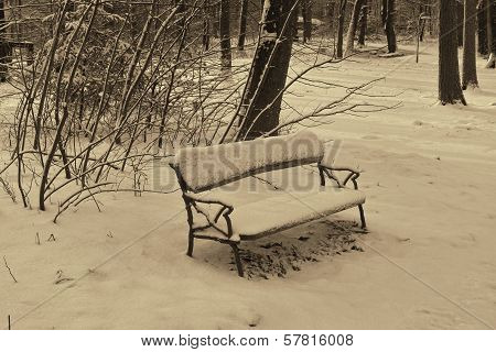 Empty Bench In The Snow