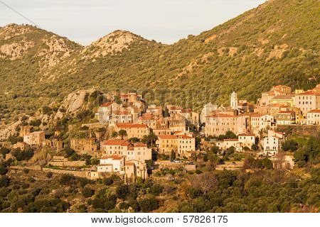 The Village Of Belgodere In Corsica