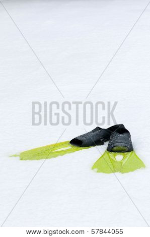 Flippers lying on the snow, conceptual photo