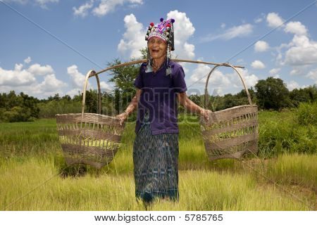 alte asiatische Frau, akha