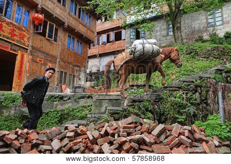 Saddled Horse Climbs Stairs, Followed By Elderly Farmer Asian.