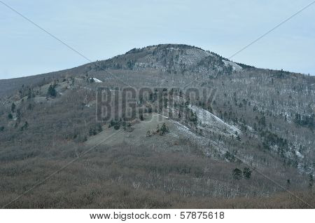 Landscape In Mountain Taiga