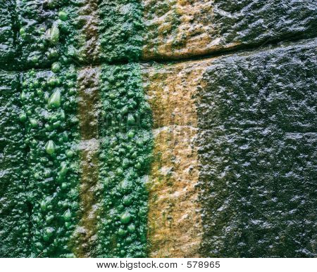 Mokré slizký skalní stěna