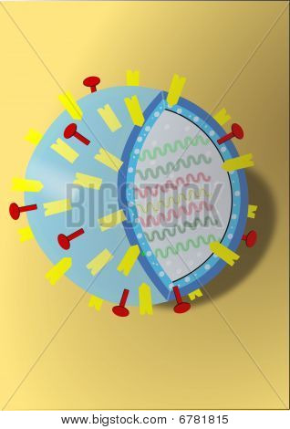 Virus