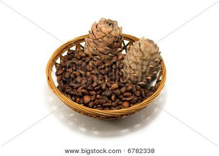 Cedar nuts