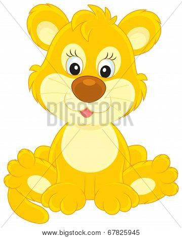 Little lion