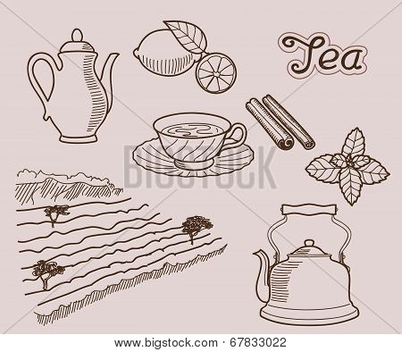 tea icon